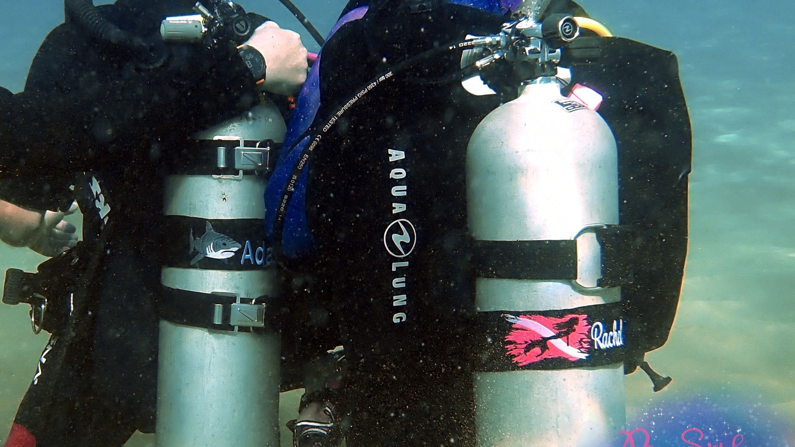 The Magic of BCD Tags and Tank Straps by Rinn Stitches 🐙