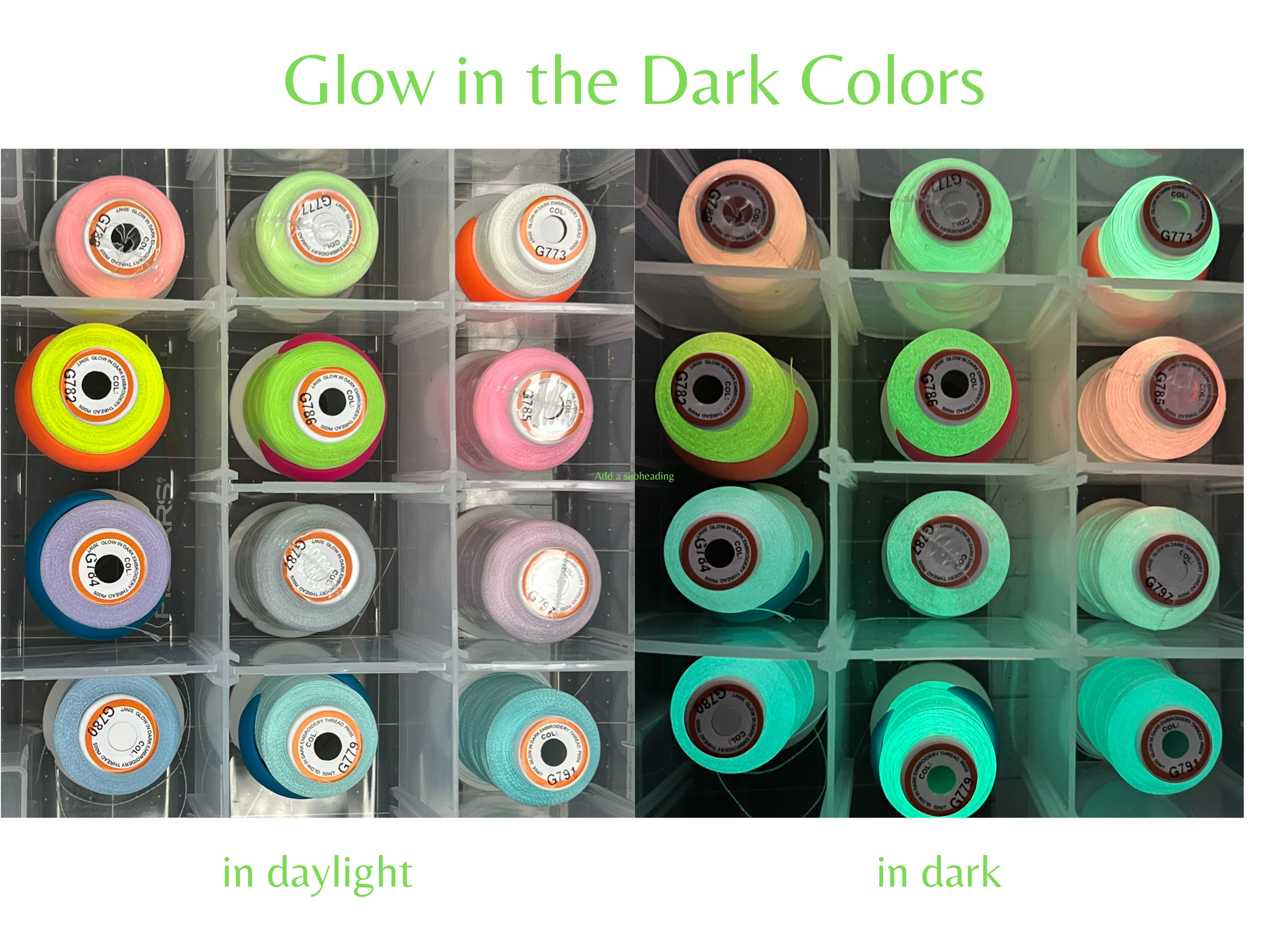 Glow in the Dark Personalized Jellyfish BCD Tag