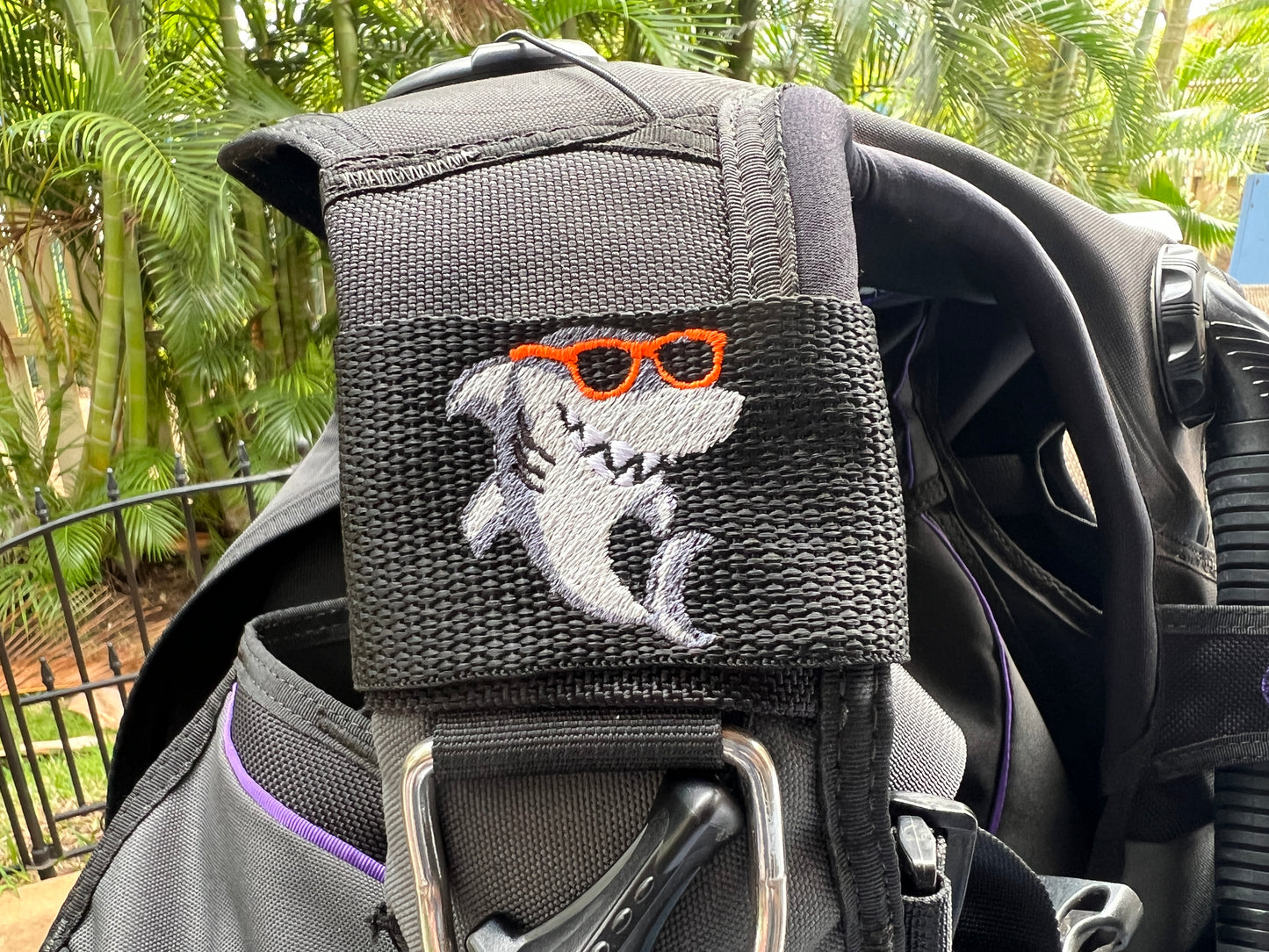 Cool Shark BCD Tag