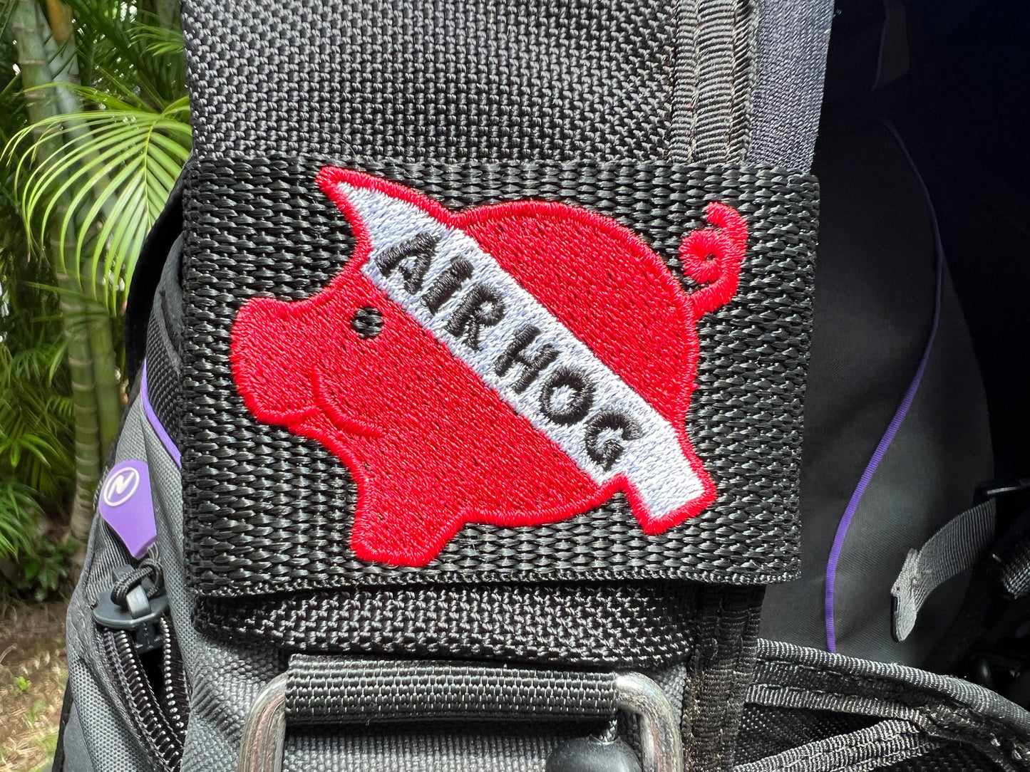 Air Hog Piggy BCD Tag