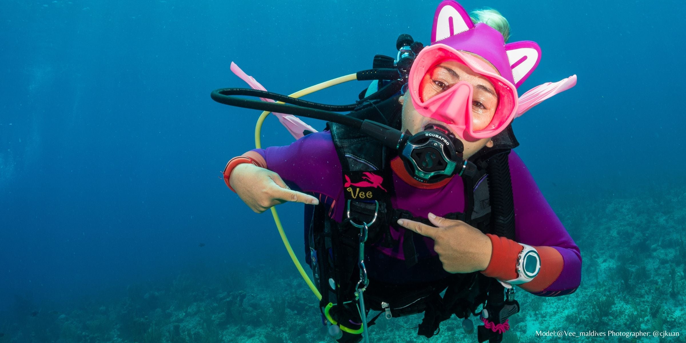 BCD Tags - Best Sellers