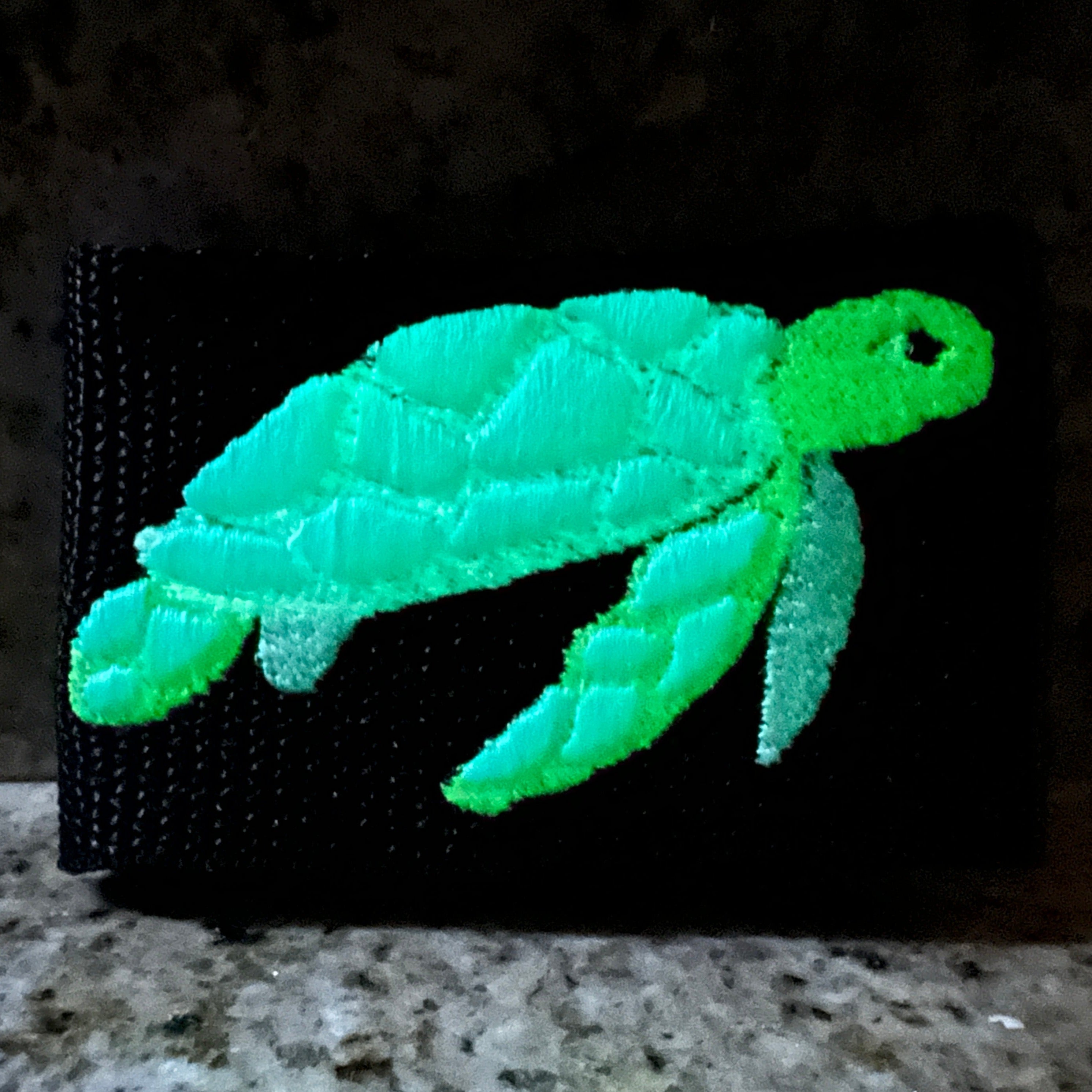 Glow in the Dark Sea Turtle BCD Tag