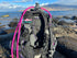 Pink Dive Flag Shark Personalized BCD Tag by Rinn Stitches on Maui, Hawaii