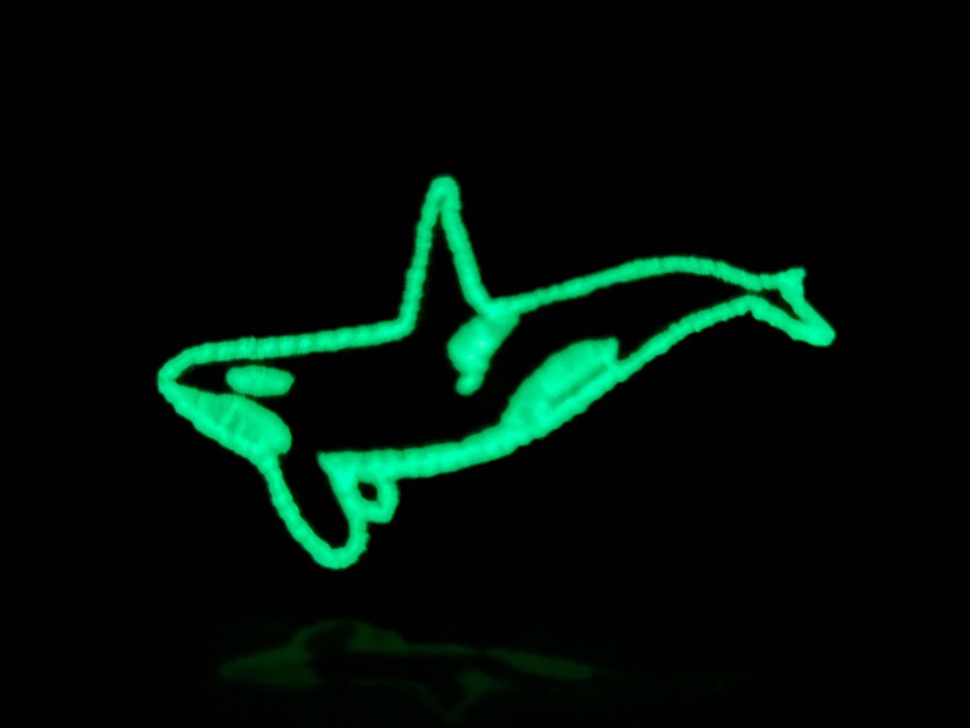 Glow in the Dark Orca BCD Tag