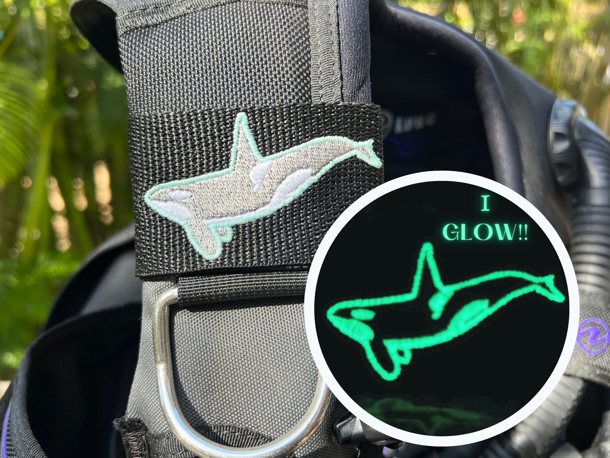 Glow in the Dark Orca BCD Tag